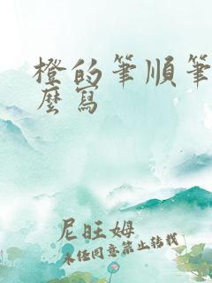 橙的笔顺笔画怎么写