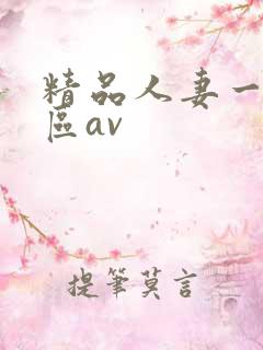 精品人妻一区二区av