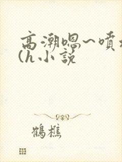 高潮嗯~喷水了(h小说