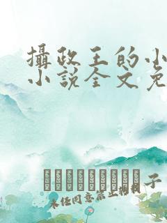 摄政王的小狼妃小说全文免费阅读