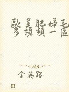 欧美肥妇毛多水多视频一区二区