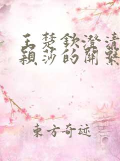 王楚钦澄清与孙颖莎的关系