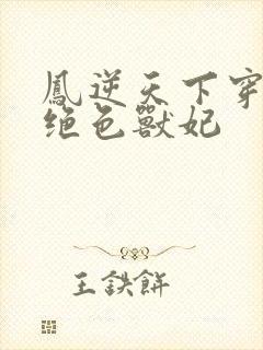 凤逆天下穿越之绝色兽妃