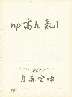 np高h 乱l
