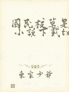 国民校草是女生 小说下载txt