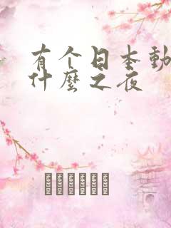 有个日本动漫叫什么之夜