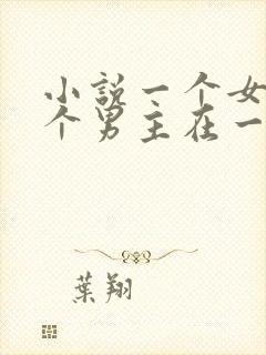 小说一个女主多个男主在一起