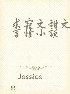 求宠文甜文现代言情小说