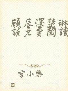 顾辰泽楚琳薇小说免费阅读最新章节