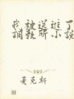 我被送进了私奴调教所小说