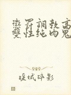 惩罚调教高h 双性纯肉鬼攻