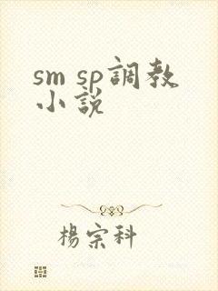 sm sp调教小说