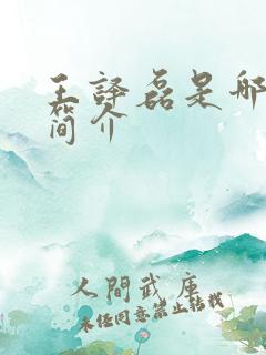 王译磊是哪里人简介