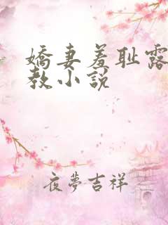 娇妻羞耻露出调教小说