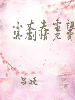 小丈夫电视剧全集剧情免费