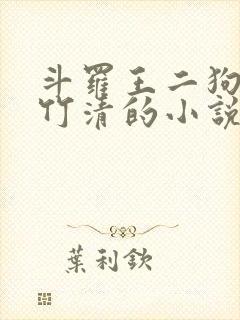 斗罗王二狗和朱竹清的小说