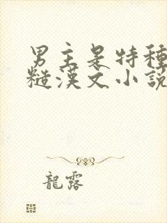 男主是特种兵的糙汉文小说