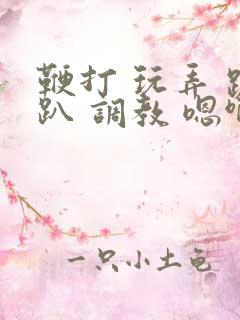 鞭打 玩弄 跪趴 调教 嗯啊m