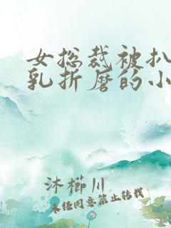 女总裁被扒开双乳折磨的小说