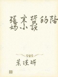 张寒哲的陪读妈妈小说