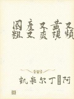 国产又黄又猛又粗又爽视频