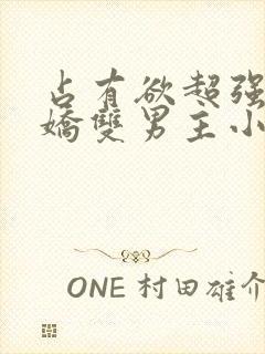 占有欲超强的病娇双男主小说