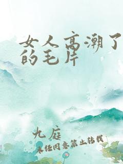 女人高潮了又爽的毛片