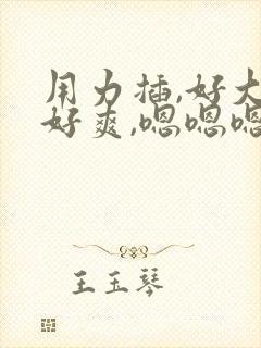 用力插,好大,好爽,嗯嗯嗯