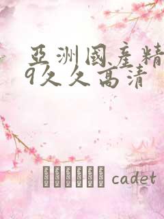 亚洲国产精品99久久高清