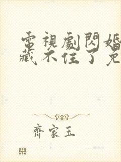 电视剧闪婚老公藏不住了免费观看