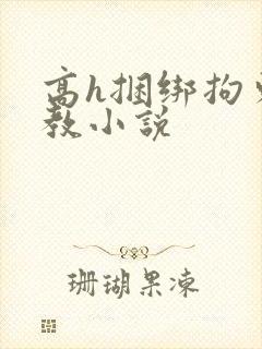 高h捆绑拘束调教小说