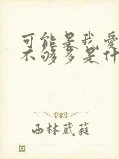 可能是我爱你还不够多是什么歌