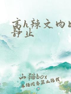 高h辣文肉时间静止