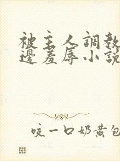 被主人调教边c边羞辱小说