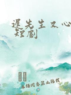 迟先生又心动了 短剧