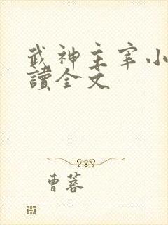 武神主宰小说阅读全文