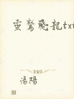 灵鹫飞龙txt