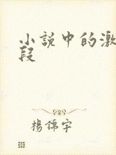 小说中的激情片段
