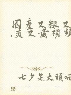 国产又粗又猛又,爽又黄视频