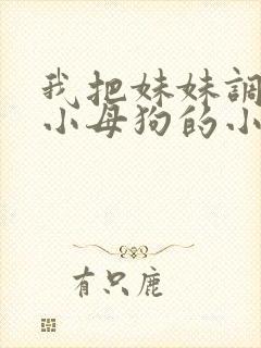 我把妹妹调教成小母狗的小说