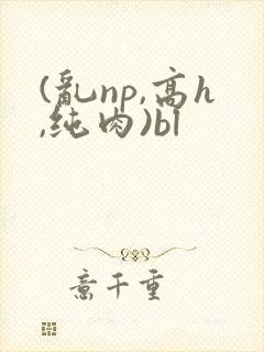 (乱np,高h,纯肉)bl