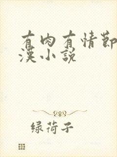 有肉有情节的糙汉小说