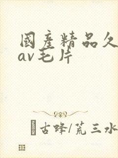 国产精品久久久av毛片