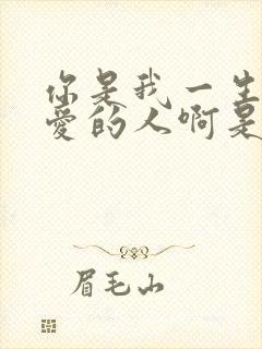 你是我一生中最爱的人啊是什么歌