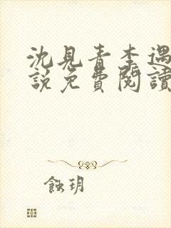 沈见青李遇泽小说免费阅读