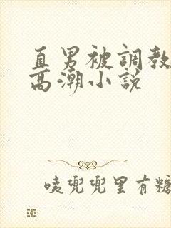 直男被调教玩弄高潮小说