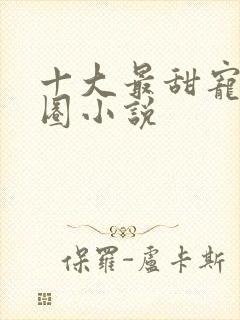 十大最甜宠娱乐圈小说