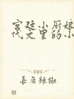 宫廷小厨娘在年代文里的小说