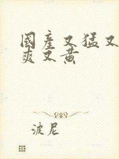 国产又猛又粗又爽又黄