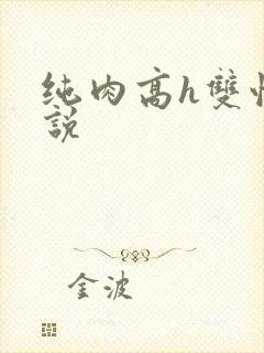 纯肉高h双性小说